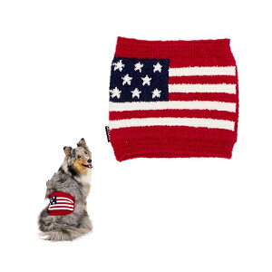 CtCN iVitbO͂܂USA S