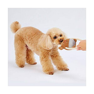 yeBI vVbvƕ p ӂӂf^[vʂ 