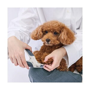 yeBI FI×CARElCXChJb^[