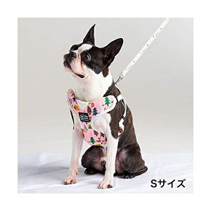 y3Zbgz yeBI p EthicalDoor Aj}xXgn[lX sNS