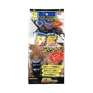 �y3�Z�b�g�z �O�W���� SAK027�͗t�}�b�g