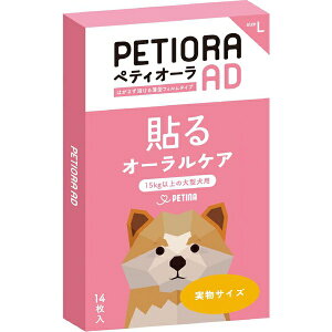 y14Zbgz yeB[i yeBI[AD L