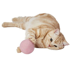 �y3�Z�b�g�z �y�e�B�I �v���V���b�v���ƕ� �L�p�������� Happiness Cat �E�[���{�[��BIG �s���N