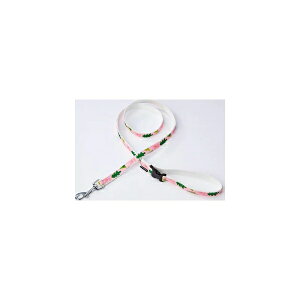 yeBI pR EthicalDoor Aj}[h sNS