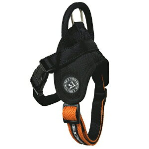 y5Zbgz JmY FIELDMASTERwbhCn[lX OR L