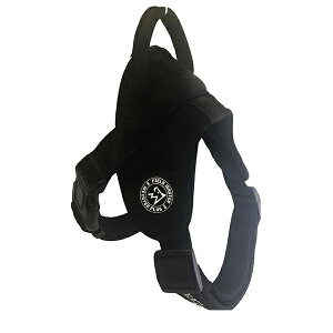 y3Zbgz JmY FIELDMASTERwbhCn[lX BK M