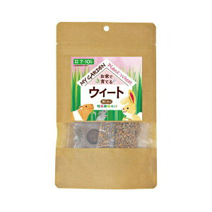 y3Zbgz C[X^[ }CK[f q͔|Zbg EB[g