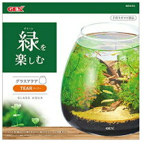 楽天市場】4L（水槽｜水槽・アクアリウム）：熱帯魚・アクアリウム 