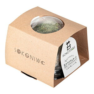 ���� �ۃe�����E���L�b�g