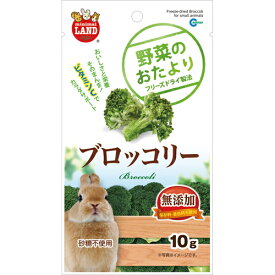 【12個セット】 ミニマルランド 野菜のおたより ブロッコリー 10g ML-81