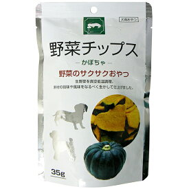【6個セット】 藤沢商事 野菜チップス かぼちゃ 35g