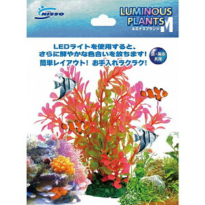 }J ~iXvc M-1 NAP-194 MARUKAN ANZT[ ANAE jb\[  TCY lH IuWF  pANZT[ jb\[ƕ ~iXvc Sf 