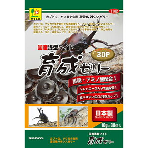 y3Zbgz OW Y ^Ch琬[[ 16g×30 [[ JugV GT TR[ [[ NK^  Sf