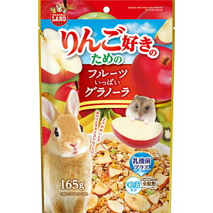 りんご 好き フルーツ グラノーラ 165g 安心素材 価格は1個のお値段です