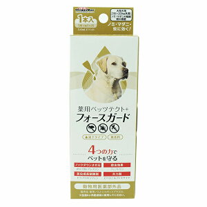 y3Zbgz p ybceNg+tH[XK[h ^p 1P hM[}nV pi p im~g  Eo_iEh Xv[ ETX|bgElbg Sf