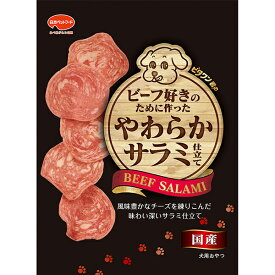 【10個セット】 日本ペットフード ビタワン君のビーフ好きのために作ったやわらかサラミ仕立て 70g