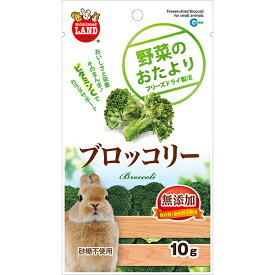 【6個セット】 マルカン 野菜のおたより ブロッコリー 10g