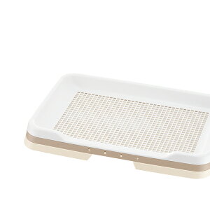 y20Zbgz b`F |ȒPXebvg[ M[(bVt) AC{[ M[ gCg[  SN Richell _[NuE CeA g[jO h~ 