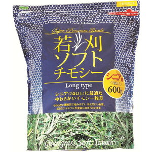 y12Zbgz A^ አ\tg`V[ 600g  SN Si VjAp pi ybgt[h ETMt[h O p `` GT Nێ q VjA  b