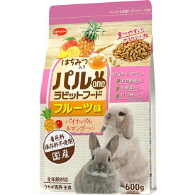 【12個セット】 日本ペットフード パルone ラビットフード フルーツ味 600g