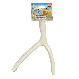 y10Zbgz OW ܂Ƃp[` Y^ B47 Sf