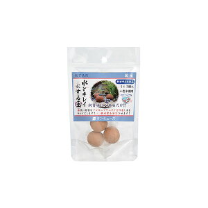 y12Zbgz }c_ [ICg̋ ~j uE 3 Sf