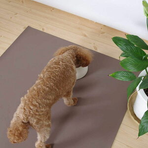 【12個セット】 三愛繊維 コンフィマルチシート 57×80 ブラウン 滑り止め クッション 高齢犬 シート ペット用 ネコ イヌ 国産 日本製 介護 マット 防水 グレー 無地 中型犬 ペット 犬用 吸着 大