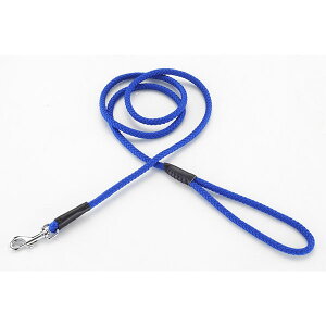 y12Zbgz yeBI NEW }[[h 12mm u[ ybgpi ^p U  ^ ybg zn Č Sf