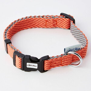 y6Zbgz yeBI AhCg \tgXLbvJ[SS bh p ybgpi yeBIAhCg ^p ybg p 킢   Sf