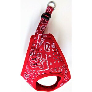 y12Zbgz 쐻쏊 yCY[\tgn[lX S bh Sf