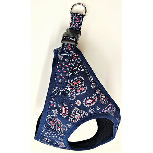 y12Zbgz 쐻쏊 yCY[\tgn[lX M lCr[ Sf