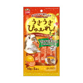 マルカン うさうさぴゅーれ トロピカルフルーツ 10g×5本 ウサギ用フード マルチビタミン 毛玉ケア ハムスター おやつ おいしい ウサギ スドー 小動物 ハヤシ しつけ 食物繊維 フード モルモット 副食 ペット 栄養 水分 不使用 健康 安心素材 価格は1個のお値段です