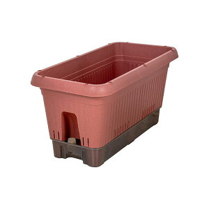 xXgR v^[  ybg{gŎ LX^[t { 650^ eRb^ MA-4204