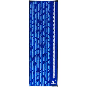 nV  (Hayashi) X|[c^I 34×110cm ~YmN5024 u[ SN502401