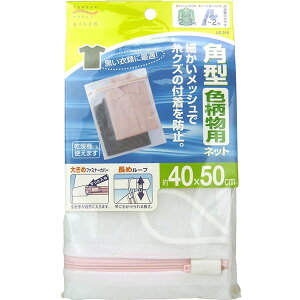 アイセン 洗濯ネット 角型 色柄物用 40×20cm ネット 洗濯 洗濯用品 ファスナーカバー付き ホワイトデー アイセン工業 清掃 掃除 洗剤 糸くず防止 ポリエステル 角型洗濯ネット