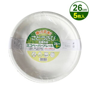 aY GRy[p[v[g 26cm 5 M ĝ TgELr oKX e e AEghA Օi W[ sNjbN n