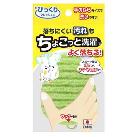 【5個セット】 サンコー 洗濯ブラシ びっくりフレッシュ ちょこっと洗濯 BO-82 野球 洗剤 洗濯用スポンジ 両面使用可 洗濯用品 グリーン 洗濯スポンジ 洗濯 予洗い 泥汚れ 生地 スポーツ ワイシャツ 握りやすい 手洗い 部分洗い 汚れ ブラシ