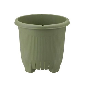 y16Zbgz b`F ؉v^[ 36^ O[  ؉ v^[ K[fjO ی^ xߋt K[fjOpi zCgf[ ؉ ƒ؉  ͔| Xy