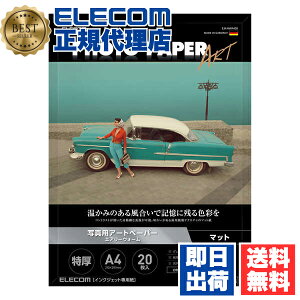 y2ZbgzGR EJK-AWA420 v^[p ʐ^p A4 20 }bg ʐ^pA[gy[p[ ŏ㋉O[hART  GA[EH[ CNWFbgp zCg 