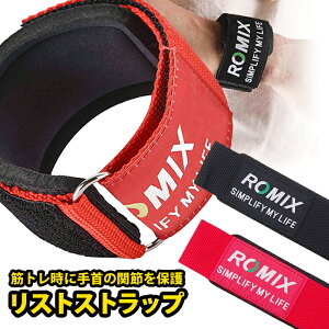 XgXgbv EGCgg[jO t[EFCg ubN bh ROMIX (~bNX) 