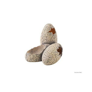 �W�F�b�N�X �����̗�S PT2840 ���Y�� ���� �{�̃T�C�Y ��14×���s13×����11.5cm GEX �o�X�L���O�X�|�b�g �V�F���^�[ �A�N�Z�T���[ �G�L�]�e�� ���C�A�E�g ঒��� ������ �Ɩ��p �w�r �y�b�g �J�G