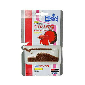 �y24�Z�b�g�z �L���[���� Hikari �x�^ 2g �G�r ���� �T�J�i �S�N�� �S�i�� �M�ы��p�t�[�h �A�N�A���E�� �q�J�� �G�T �y���b�g ���p�i �Ϗ܋� �t�[�h ���㐫 �y�b�g �h�{ ���� ���N �p�i ���S�f