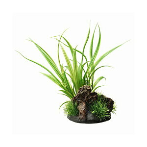 �W�F�b�N�X �������i �A�N�A�L�����o�X �V�y���X �{�̃T�C�Y ��12×���s11×����21cm GEX �Ϗ܋��p�i �A�N�Z�T���[ �y�b�g�p�i �����p�i �M�ы� �Ϗ܋� ���p�i �O�b�Y ���� �l�H���� �y�b�g ��