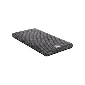 FD-100 �V���O��