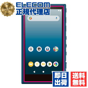 �y���K�㗝�X�z �G���R�� AVS-A19FLPG WALKMAN A100 �p �t�B���� �Ռ��z�� �w��h�~ ������ �E�H�[�N�}�� A 2019 NW-A100�V���[�Y�Ή� �ی�t�B���� ELECOM �J���� �Ռ��z���t�B���� �ϏՌ� �h�w�� �t����