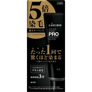 �y3�Z�b�g�z LUCIDO PRO �p�[�t�F�N�g�J���[�����X �u���b�N 120ml �������ߗp ���V�[�h �}���_�� �g���[�g�����g