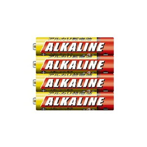 �y10�Z�b�g�z �O�H 49J713 �A���J�����d�r (�P4/4�{��) LR03R/4S