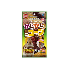 【3個セット】 マルカン かじかじミニコーン 2本 + 1本 MR-785 安心素材