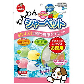 【3個セット】 わんわんシャーベット 犬用 犬 フード 株 マルカン 安心素材