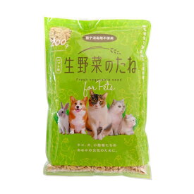 野々山商事 猫草 種子 200粒 ペット用 動物 おなか 健康 タネ 消毒 ドッグ キャット おやつ フード 犬猫 ホンポ